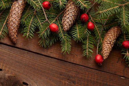 Christmas tree branch, hawthorn, pine cones