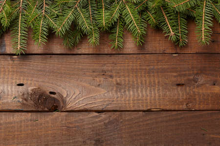 Christmas tree branch, pine cones