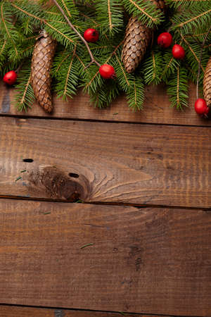 Christmas tree branch, hawthorn, pine conesの写真素材