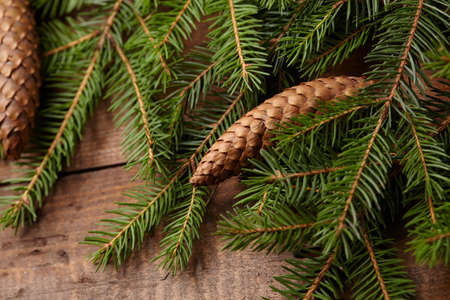 Christmas tree branch, pine cones