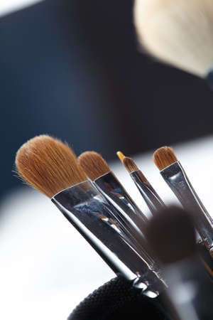 Professional Makeup Brushes