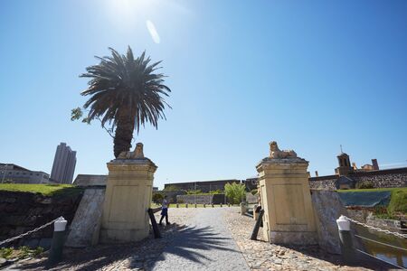 street Cape Townの写真素材