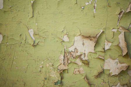 old green paint on old wallの写真素材