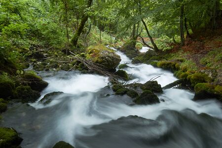 fast flowing rivers in the forests of Montenegroの写真素材