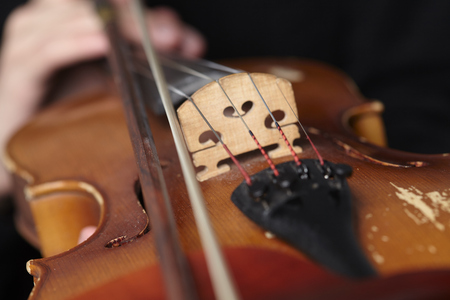 playing the violin close-upの写真素材