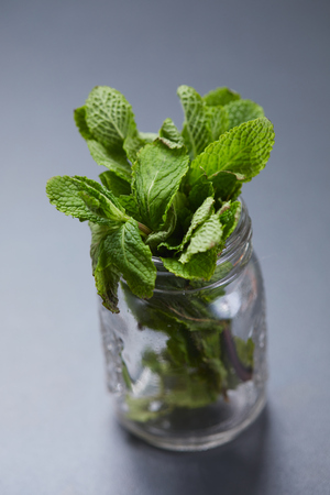 Mint leavesの写真素材