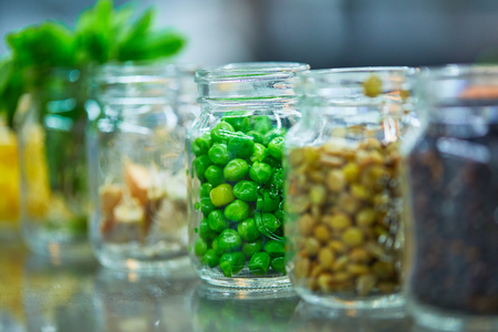 Food ingredients in jars vegetables, cerealsの写真素材