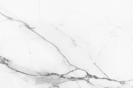 White marble texture background pattern with high resolution. Black and white.の写真素材