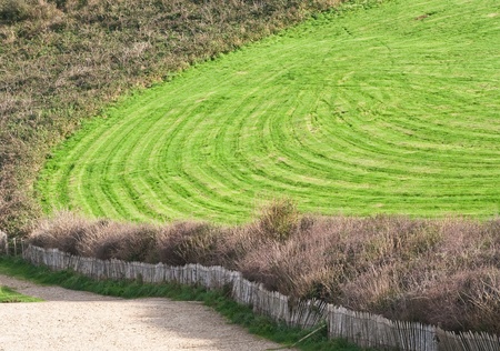 Wavy green golf field with a wooden fenceの写真素材