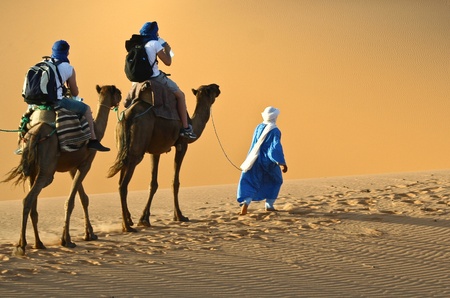 Camel caravan going through the sand dunes in the Sahara Desert, Morocco.のeditorial素材
