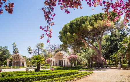 Palermo Botanical Gardens (Orto Botanico), Palermo, Sicily, Italy, Europeの写真素材