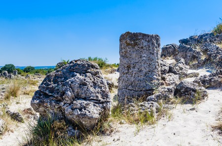 The natural phenomenon Pobiti Kamani, known as The Stone Forest and Dikilitash ,natural landmark in a sacred  place near Varna, Bulgariaの写真素材