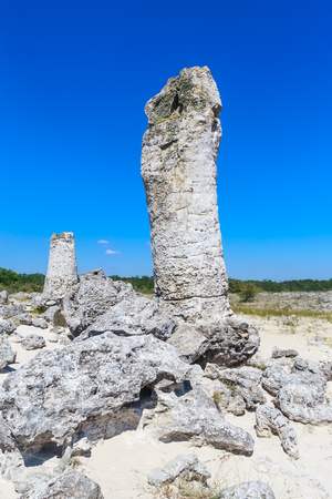 The natural phenomenon Pobiti Kamani, known as The Stone Forest and Dikilitash ,natural landmark in a sacred  place near Varna, Bulgariaの写真素材