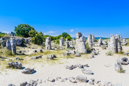 The natural phenomenon Pobiti Kamani, known as The Stone Forest and Dikilitash ,natural landmark in a sacred  place near Varna, Bulgariaの写真素材