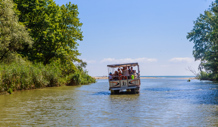 People take pictures of river turtles. Kamchia river in Bulgariaのeditorial素材