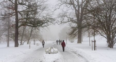 Winter in central park - Marianske Lazne (Marienbad) - great famous Bohemian spa town in the west...