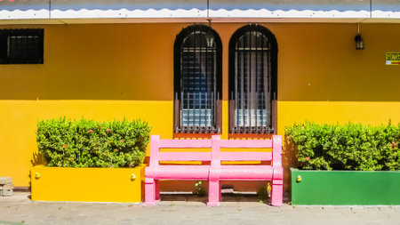 Bright pink bench with clay flower pots with palm plants in front of a bright yellow wall. Spanish colonial architecture and exterior design concept, sunny day. Granada, Nicaraguaの写真素材