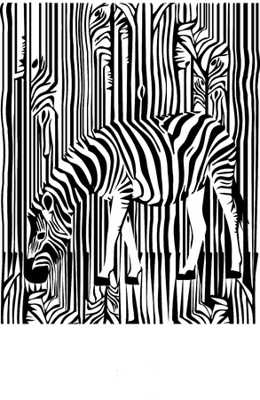 zebra in the forest  blask strokesのイラスト素材
