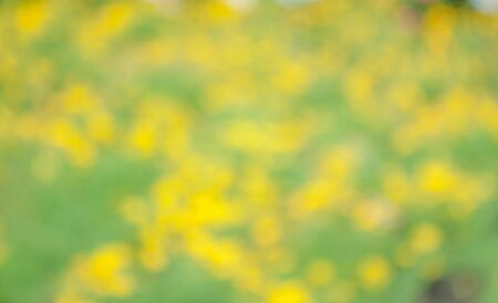 abstract green bokeh backgroundの写真素材