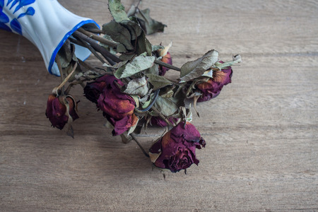 withered rose on woodの写真素材