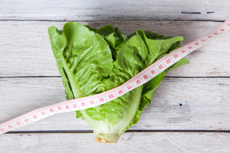 Salad leaf. Lettuce isolatedの写真素材