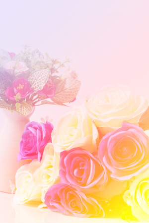 background of blue and white fresh rose flowers close upの写真素材