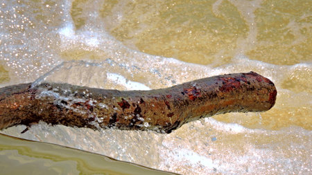 River の写真素材