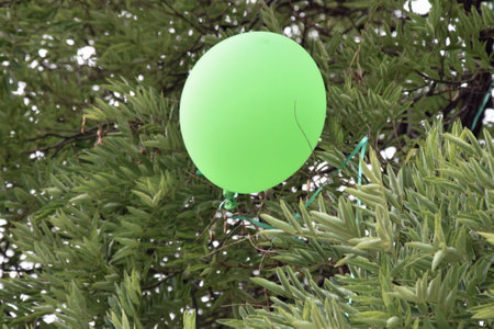 Balloon の写真素材