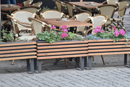 Flowers の写真素材