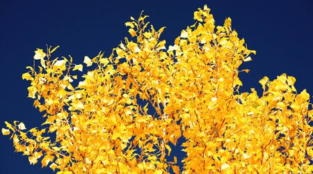 Natureの写真素材