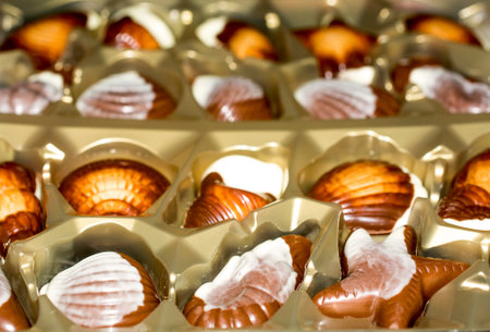 Belgian chocolate candies Seashells. Best qualityの写真素材