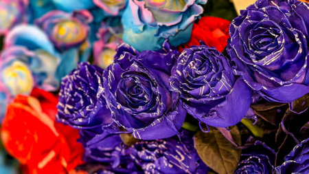 Colorful artificial roses for sale at a flower market in Paris, France.の写真素材