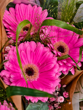 Bouquet of pink gerbera flowers with green leaves.の写真素材