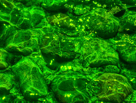 Abstract green background with small stones in the water. Close-up.の写真素材