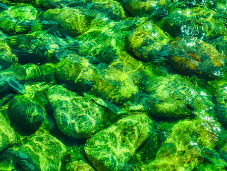 Green pebbles in the transparent water of a mountain river.の写真素材