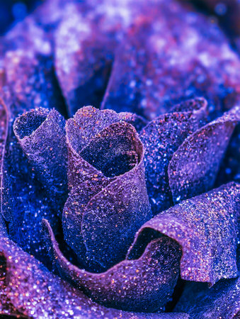 Macro shot of purple rose petals with dew drops, close upの写真素材