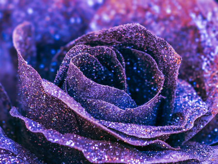 close up of purple rose petals with water drops - vintage effectの写真素材