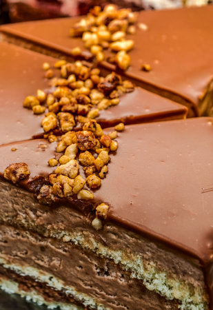 Chocolate Cake with Caramelized Nuts Vertical Photo Glossy Ganache Close-Up High Resolution Gourmet...