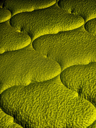 Chartreuse Yellow Green Abstract Texture Photo Organic Pattern High Resolution Contemporary Art Vertical Wallpaper Background Photographyの写真素材