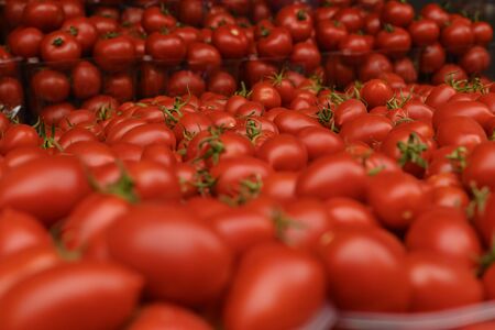 Bright red fresh ripe juicy tomatoes on the counter in the market, in the store or in the bazaar. Red tomatoes background. Group of tomatoes. Full frame of tomato on market.の写真素材
