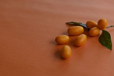 Juicy kumquat, a group of citrus fruits, on small green branch, next to several kumquats with a small shadow, on an orange background. The foreground is out of focus. Horizontal close-up, bottom view.の写真素材