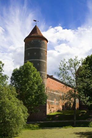 Old castle tower in lithuania, Panemune regional parkの写真素材