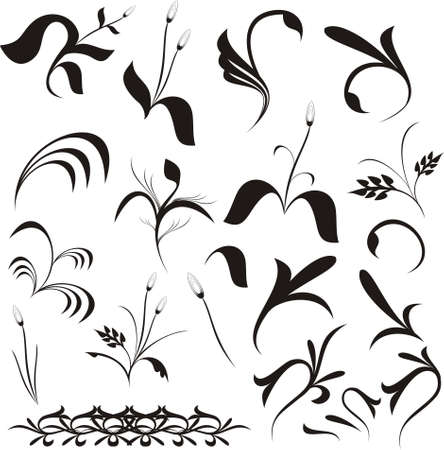Black and white floral shapes, vector. You can make this for your design workのイラスト素材