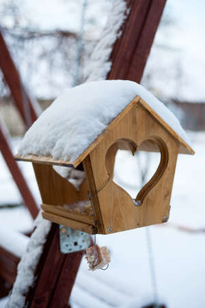 Bird Feeders In Winterの写真素材