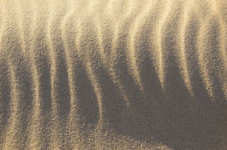 Sand dune in lateral light.