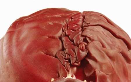 The Head of red cabbage.