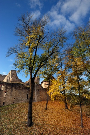 The Cesis castle, Latvia.のeditorial素材