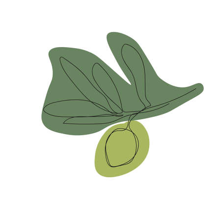 minimalistic illustration one line olive branch with green spotsのイラスト素材