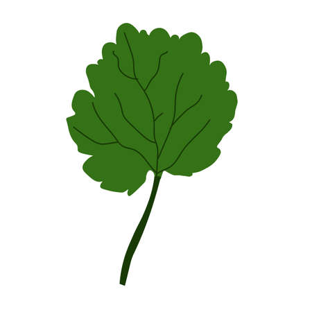 vector illustration of abstract leafのイラスト素材