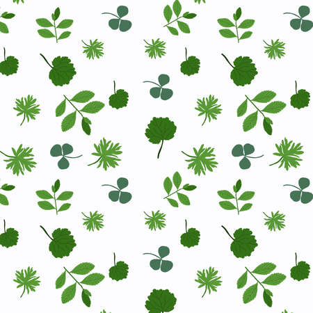 Seamless pattern with meadow herbs. Vector illustration.Botanical patternのイラスト素材